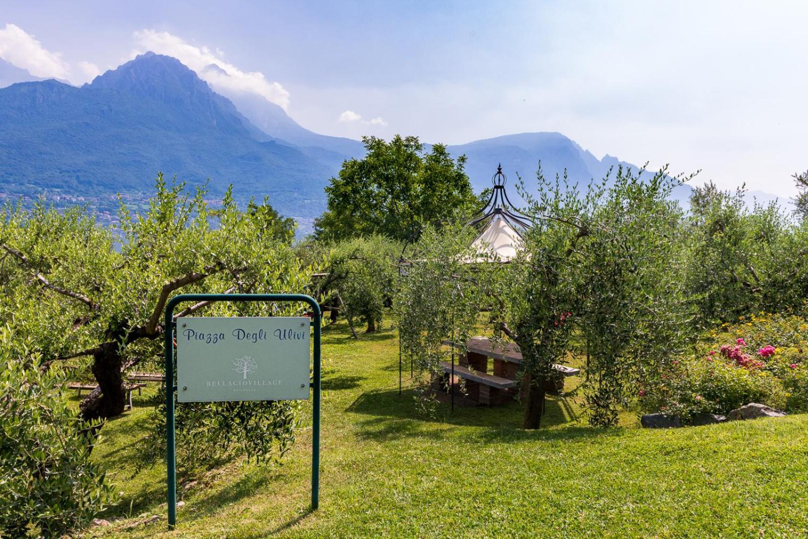 Villa Vittoria With Private Heated Pool & Shared Sauna - Bellagio Village Residence Oliveto Lario Buitenkant foto